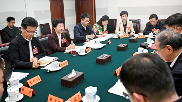 我市代表认真审议“两高”工作报告